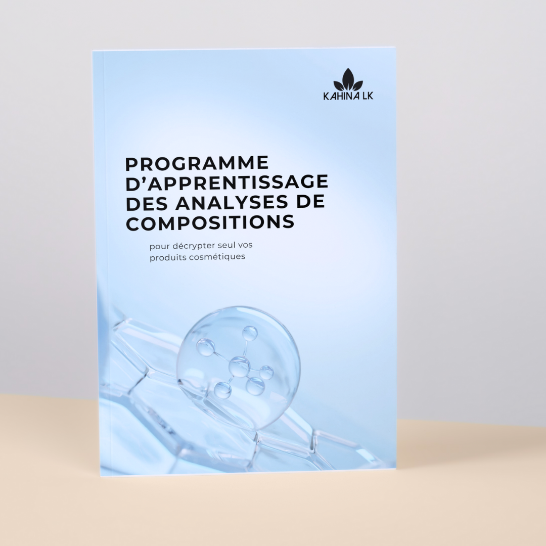 Ebook "Programme d'apprentissage des analyses de compositions"